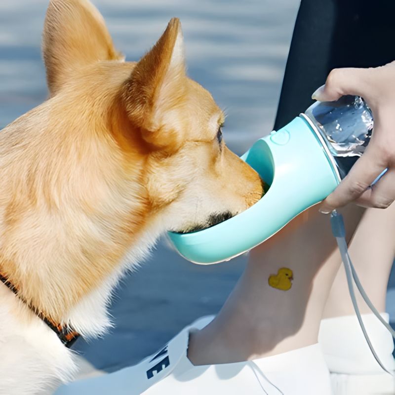 Garrafa Portátil para Pets 4 em 1 - Água e Comida